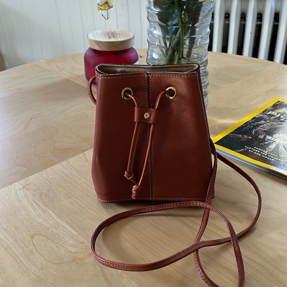 Brown Leather Ann Taylor Mini Bucket Bag